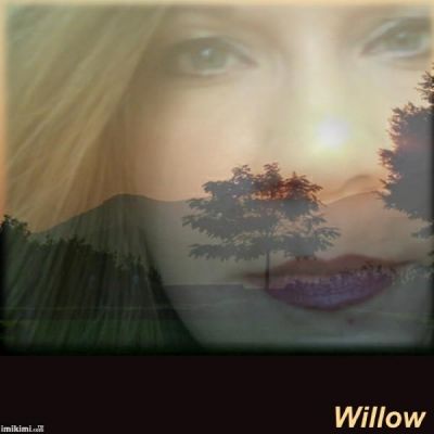 Willow Patterson