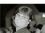 pamela tuttle 65 MO