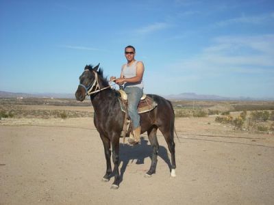 andres gonzalez