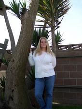 dawn wilcox