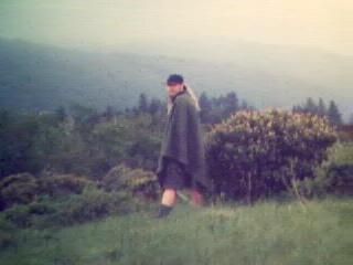 david allison