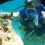 michael roberts 61 FL