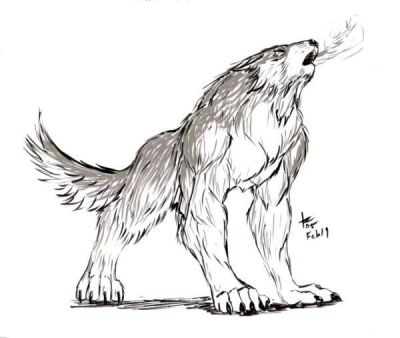 profile