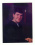steven bradley 47 TX
