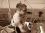 steven chandler 61 WA