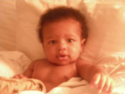 michael fields