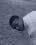 michael fields 43 FL