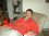 steve wilson 67 GA