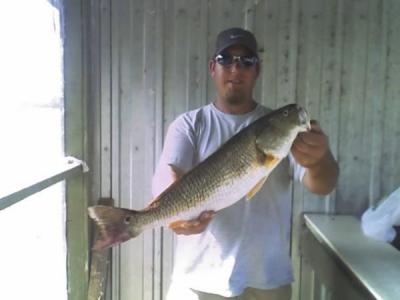 steven hensley