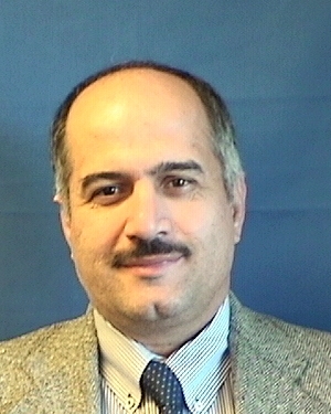 Saeid Mirzaei