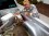 terry daniels 62 OR