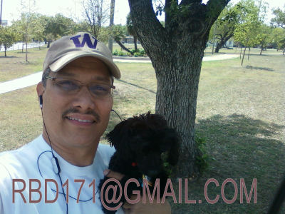 robert david