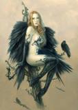 lisa stubbs