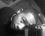 steven wilson 39 FL