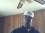 william singleton 49 MS
