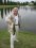 stephen jacobs 89 IN