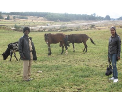 Mizan Wondifraw