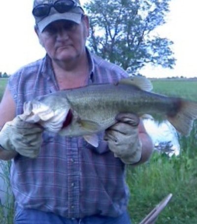 steven fisher
