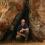 randall weaver 0 PA