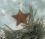 patricia daniels 62 WA