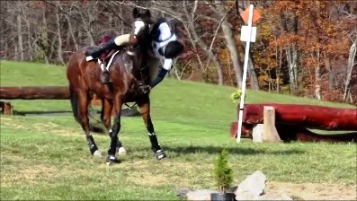 Amy Walbert