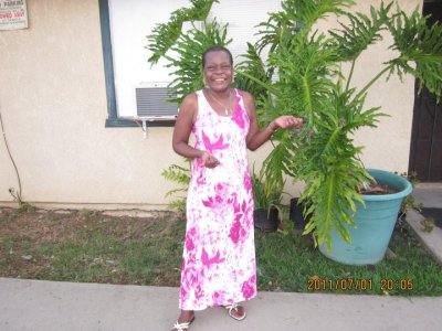linda fields