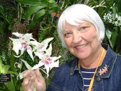 Donna Dale