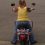 tammy brower 62 CO
