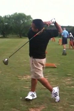 albert rodriguez