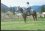 alice sampson 71 MT