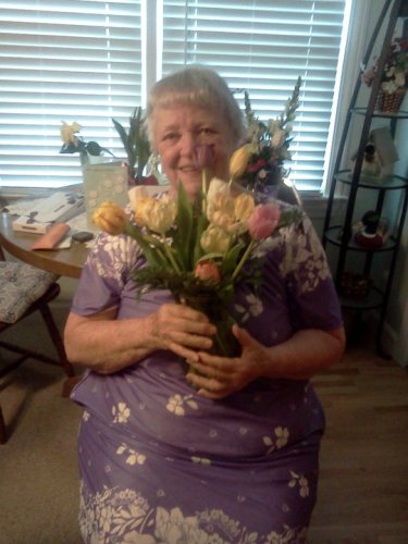 Wilma Norris