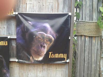 tammy moon