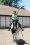 marsha haddock 76 FL