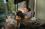 steven beeman 54 NY