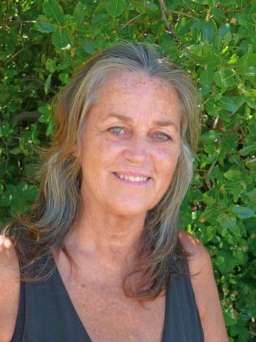 Teresa Root