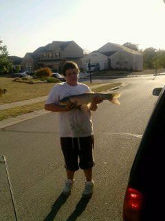 terry brown