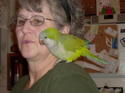 Cathy Rigg