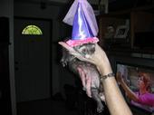 Angela Pickle