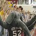 Rose Hulman
