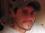 steven edwards 49 ID
