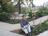 steve nguyen