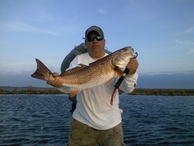 Bruce Brassette
