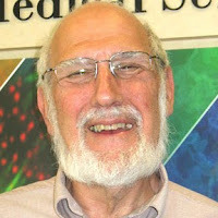 bert shapiro