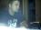 joshua yoder 41 KY
