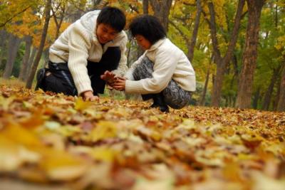 min zhang