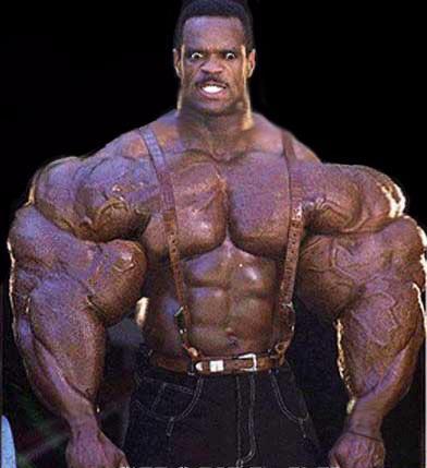 lance daniels