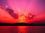 tina tuttle 62 HI