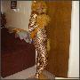 Debra Thompson
