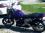 andrew swift 51 FL