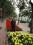 wenjun wei 0 CA